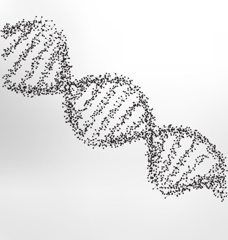 Hebra de ADN analizada en un estudio genético